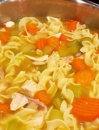 chicken noodle soup
